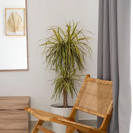 Sarandaview Apartamento Sarandë